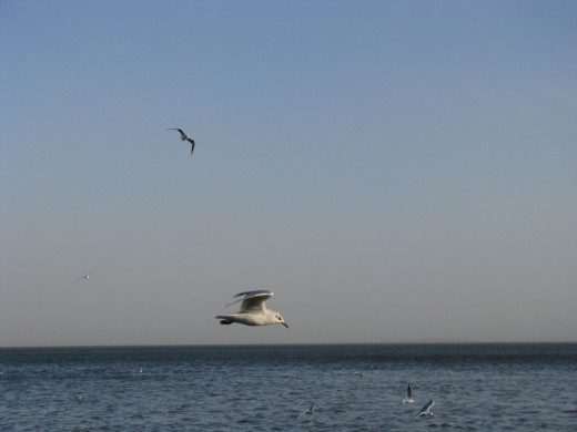353136 (a): :1600x1200